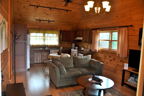 Kitchen / Living Area