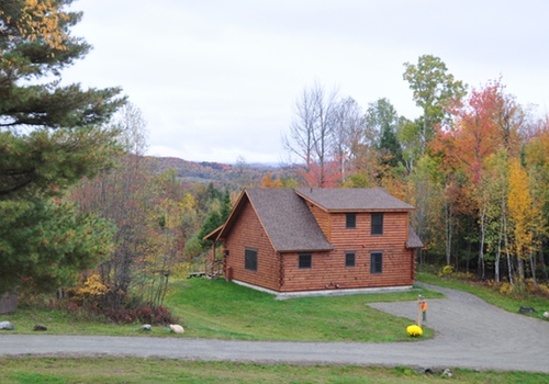 Fall Foliage