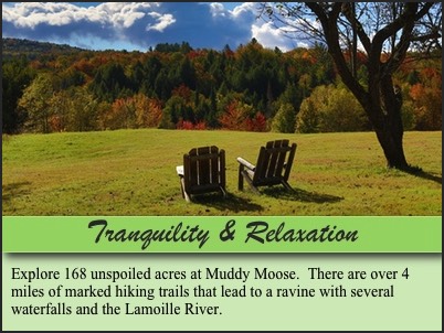 Muddy Moose- Tranquil and Relaxing